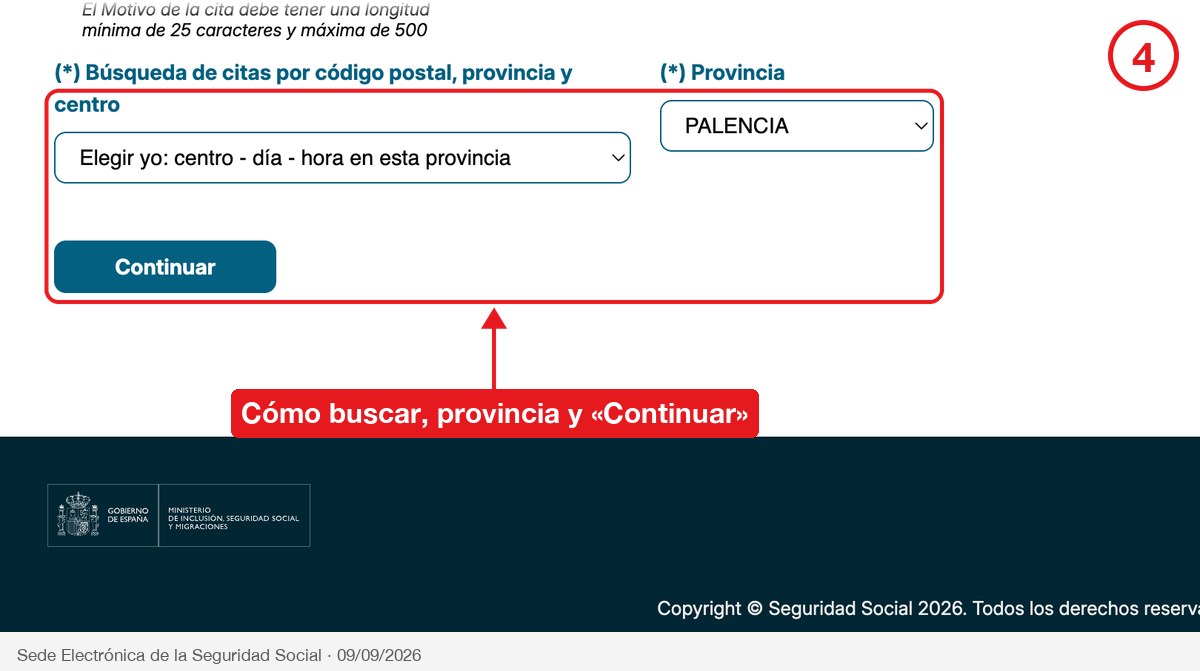 Desplegables de tipo de búsqueda y provincia junto al botón Continuar del asistente