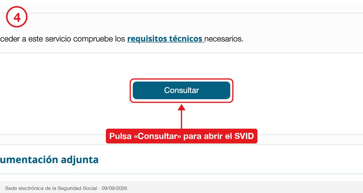 Botón Consultar del servicio de verificación de integridad con código CEA de la Seguridad Social