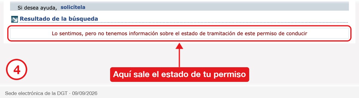 Resultado de la búsqueda del estado del permiso de conducir