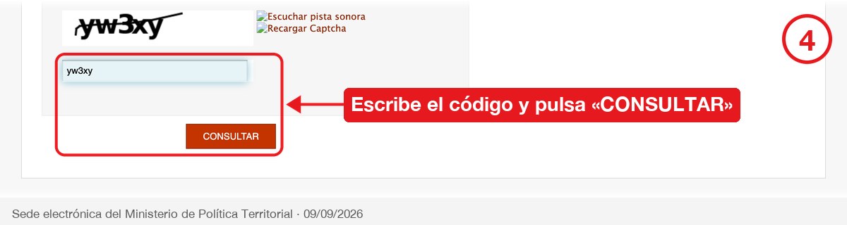 Captcha del formulario relleno y botón CONSULTAR señalados