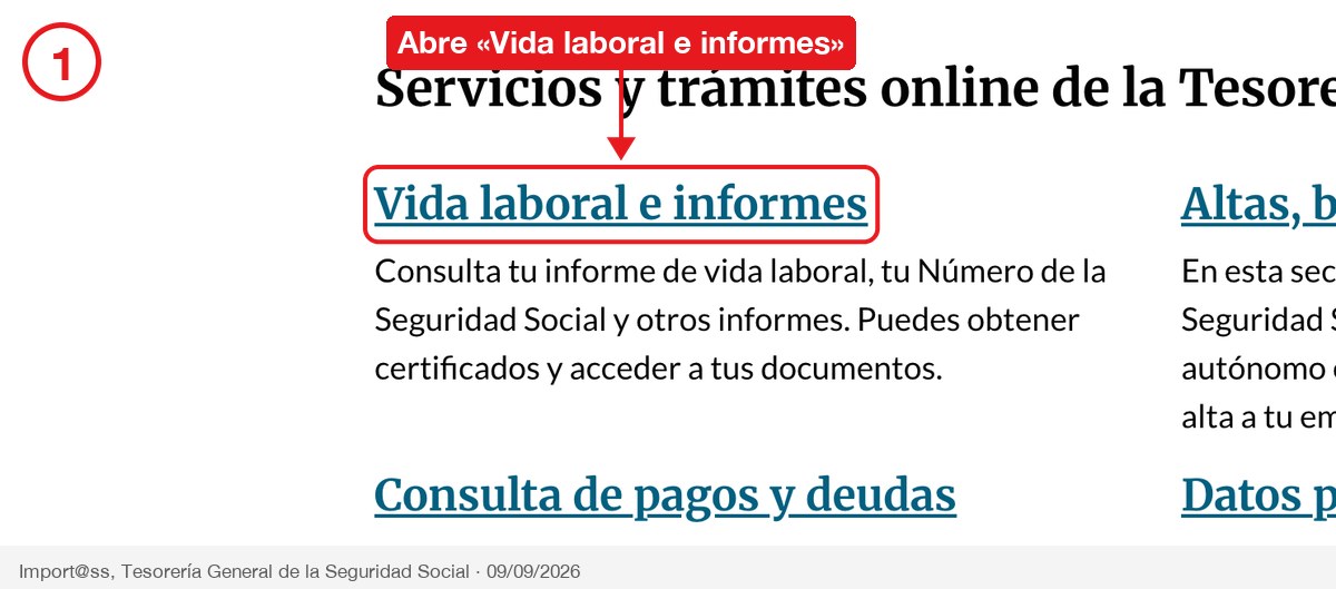 Paso 1: el bloque «Vida laboral e informes» en la portada de Import@ss