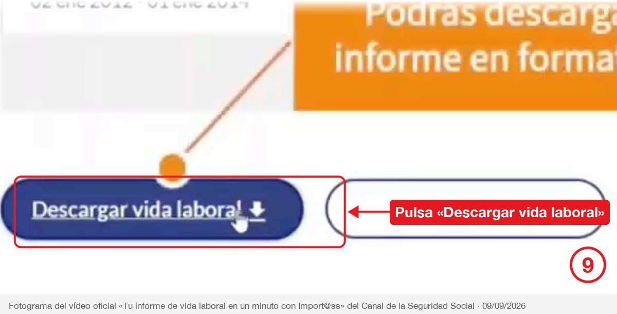 Paso 9: botón de descarga del informe en PDF